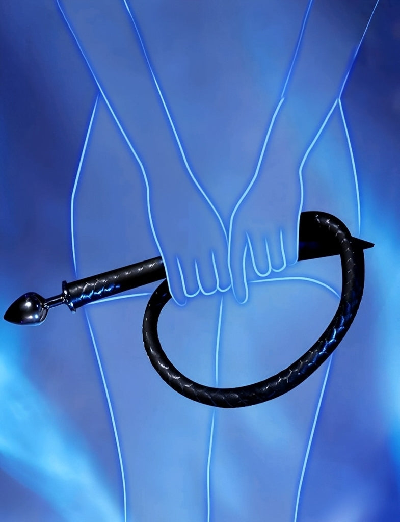 Chicote Erótico Preto com Plug Anal – Fetiche e BDSM para Casais